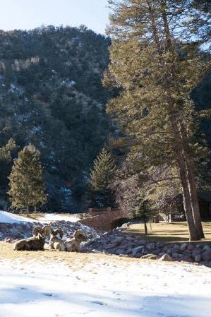Glen Eyrie Castle